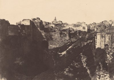 Jerusalem. Temple Enclosure. Pool of Bethesda 1 by Auguste Salzmann
